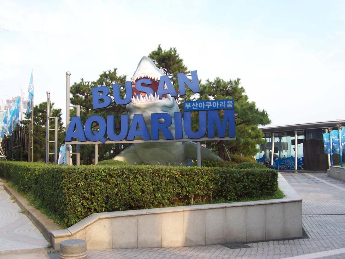 Apartamento Haeundae Luxury House Ciudad Metropolitana de Ciudad Metropolitana de Busan Exterior foto